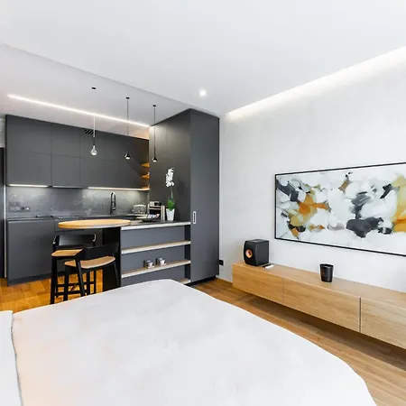 Manažerské Bydlení - Rohan Apartamento Praga